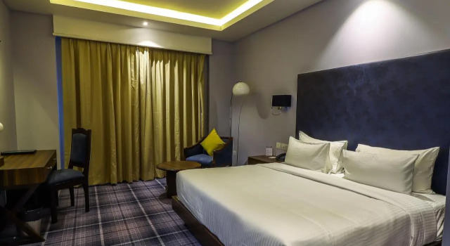 Hotel Piccadily Raipur
