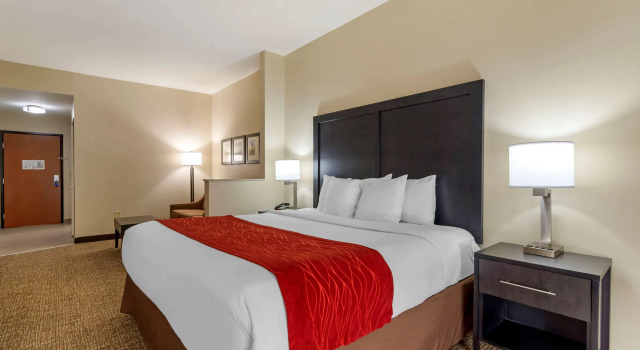 Двухместный люкс Comfort Inn & Suites Montgomery Eastchase