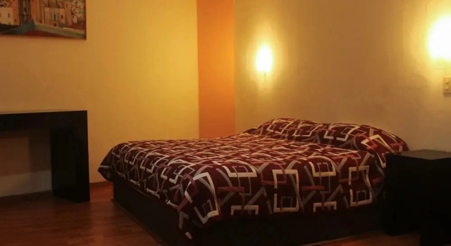Business cameră Hotel Alika