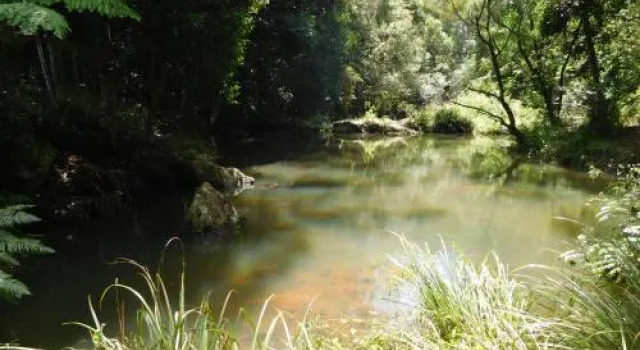 Purling Brook Falls Gwongorella, Κράτηση Ξενοδοχείο Springbrook Χρυσή Ακτή