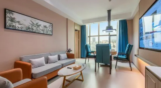 Люкс Vienna Hotel (Jieyang Chaoshan Airport Terminal Branch)