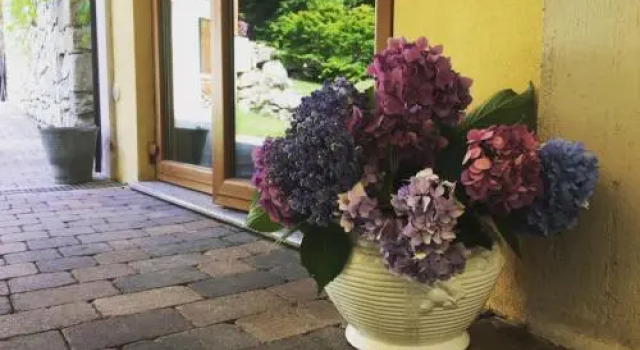 Agriturismo Biomatto, Reserva ahora Hotel Arona Lago Maggiore