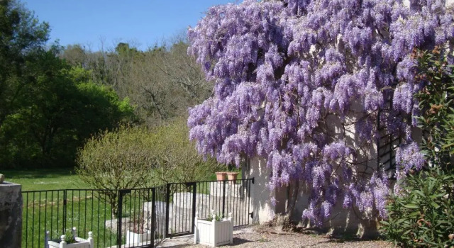 Номер Standard Bois de Cadène