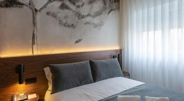 Одноместный номер Standard Hotel Afonso V & SPA
