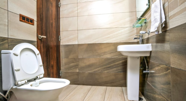 Номер Standard Mayur Hotel Bar And Restaurant