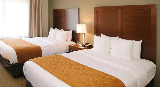 Четырёхместный номер Standard Comfort Inn & Suites