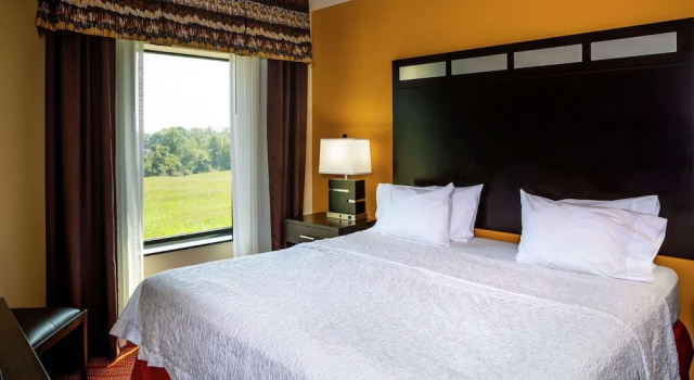Двухместная студия Hampton Inn Limerick