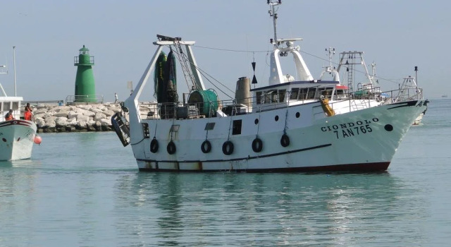 B&B Wittoria House, Rezervovat Penzión se snídaní Civitanova Marche 