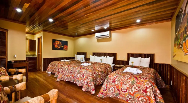 Номер Deluxe Ramons Village Resort
