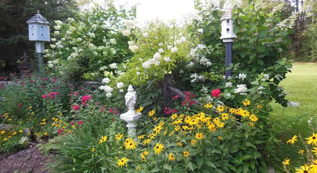 Номер Standard Greenbrier Inn Killington