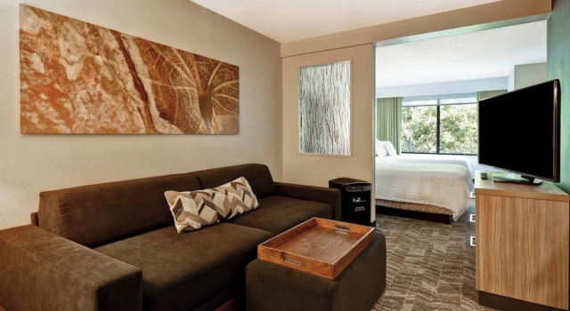 Люкс с 2 комнатами SpringHill Suites by Marriott Atlanta Kennesaw