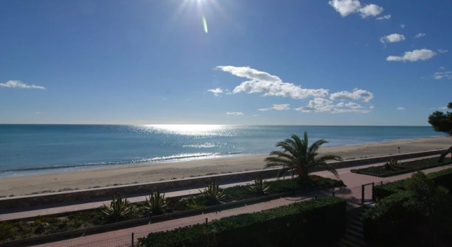 Апартаменты Guardamar 2/4 Zeus Apartments Miami 01251