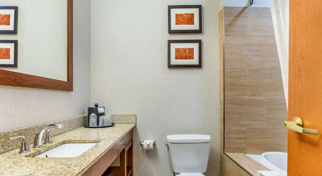 Двухместный номер Standard Comfort Suites Southgate-Detroit
