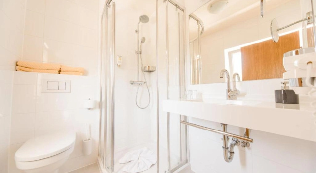Одноместный номер Standard Hotel St. Hubertushof