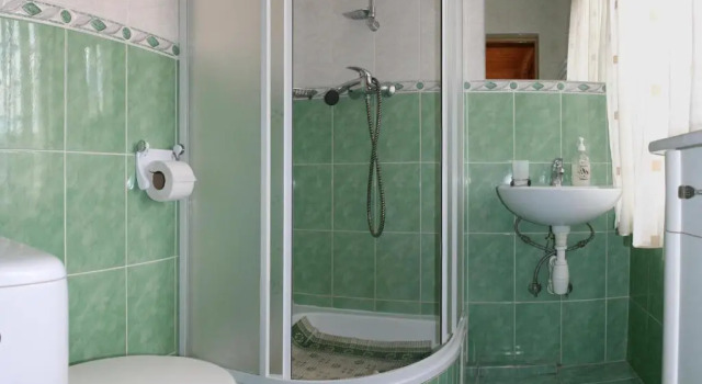 Номер Standard Prutets Guest House