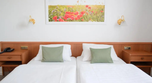Номер Standard Hotel Thode