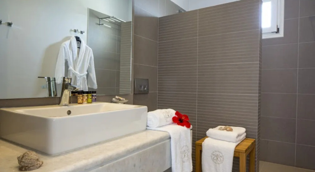 Номер Deluxe c 1 комнатой Poseidon of Paros Hotel & Spa