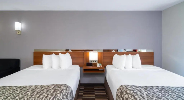 Четырёхместный люкс Microtel Inn & Suites by Wyndham Savannah/Pooler