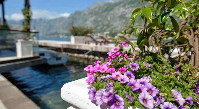 Seaside House Kotor