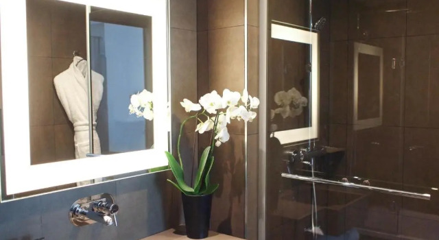 Двухместный номер Executive Novotel SPA Rennes Centre Gare
