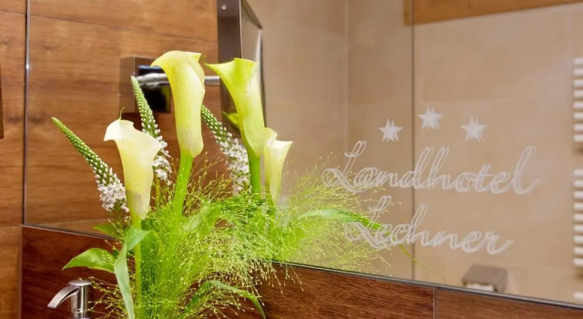 Номер Comfort Landhotel Lechner