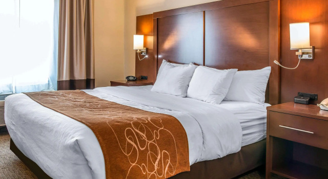 Comfort Suites Wixom - Novi