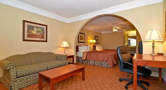 Люкс Standard Peach State Inn & Suites