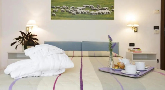 Двухместный номер Economy Hotel Angiolino