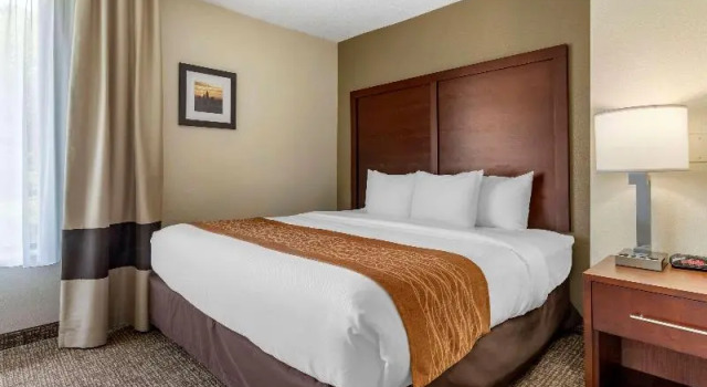 Одноместный люкс Comfort Inn Charlotte Airport Uptown