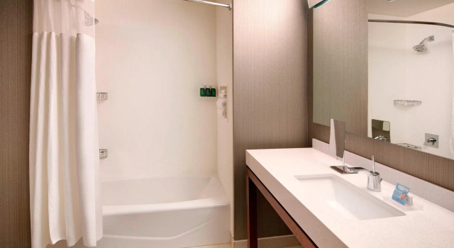Четырёхместный номер Standard с балконом и с видом на город Courtyard by Marriott Atlanta Vinings/Galleria