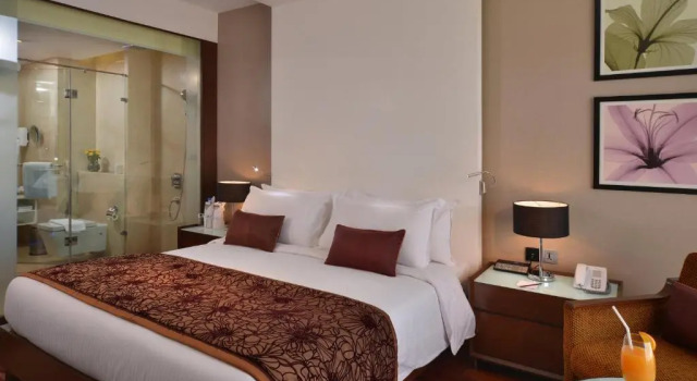 Двухместный номер Standard Holiday Inn Chandigarh Panchkula