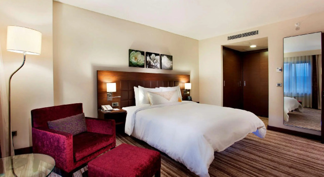 Двухместный номер Hilton Garden Inn Sanliurfa