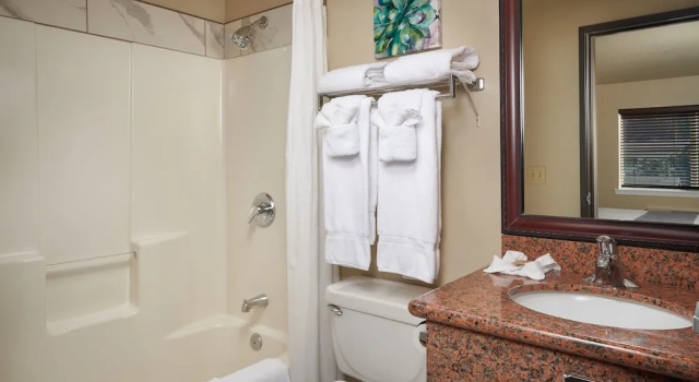 Номер Deluxe The Hotel Garibaldi
