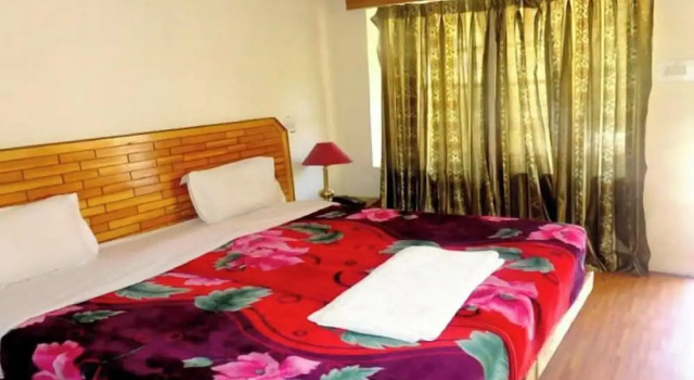 Номер Deluxe Hotel Abu Palace