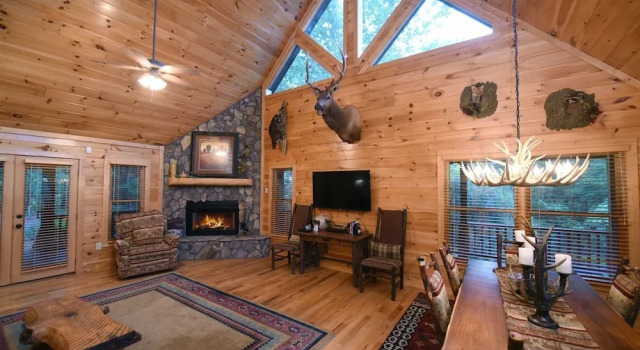Bearly A Care At Aska- Blue Ridge, Book Feriehus Necowa Cove USA