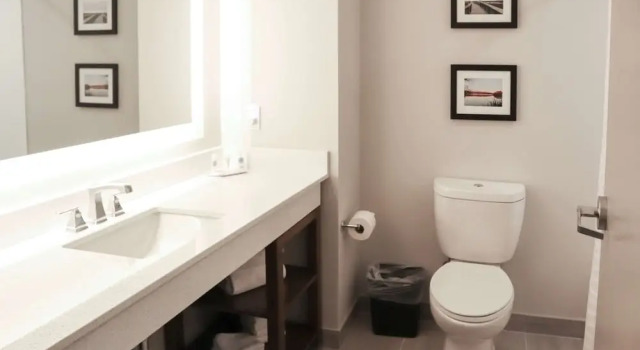 Люкс Comfort Suites Gainesville Near University