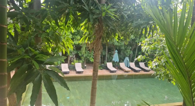 Двухместный номер Standard с видом на бассейн La Niche Dangkor Boutique Hotel