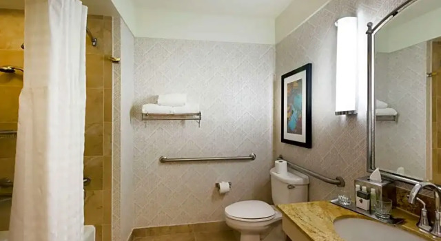 Двухместный люкс Accessible с 2 комнатами DoubleTree by Hilton Hotel & Suites Houston by the Galleria