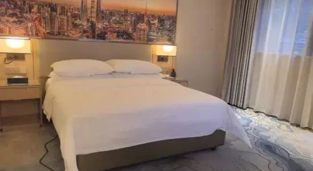 Люкс Deluxe Vienna hotel Hunan Shaoyang Longhui Bus Station