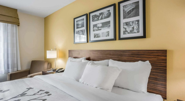 Двухместный номер Standard Sleep Inn & Suites Hannibal West