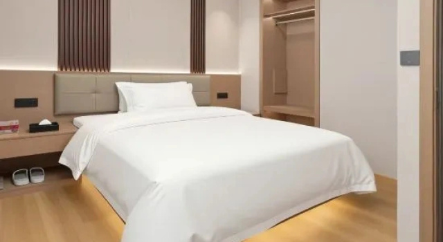 Люкс Premier Haofeng Smart Hotel
