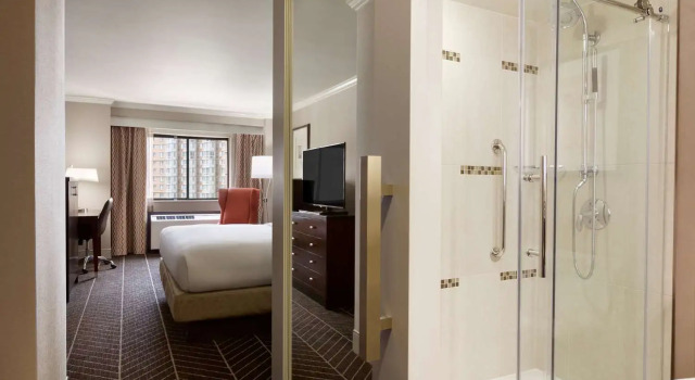 Двухместный номер Deluxe Hilton Arlington