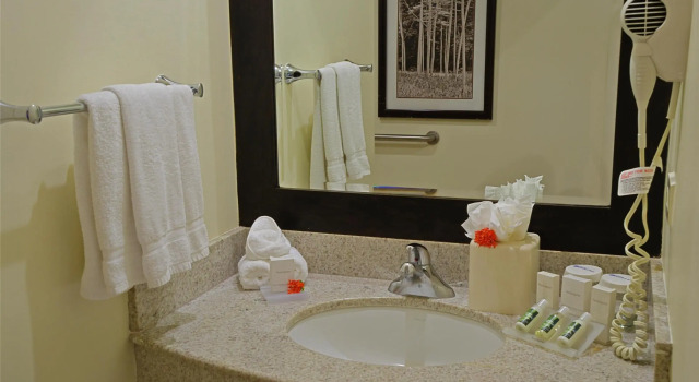 Номер Standard Hilton Garden Inn Guanacaste Airport