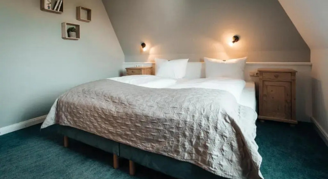 Двухместный номер Standard Hotel Freihof am Roland