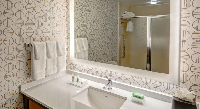 Двухместный номер Standard Holiday Inn Rocky Mount - US 64 by IHG