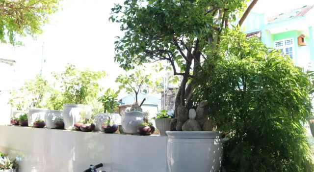 Трёхместный номер Standard с балконом Green garden house