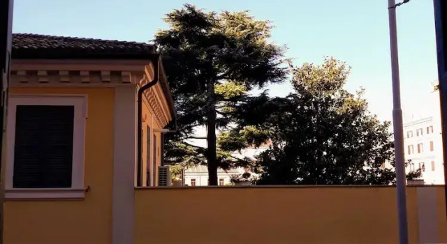 Colosseum Acquaforte's Room, Prenota Bed & breakfast San Giovanni Roma