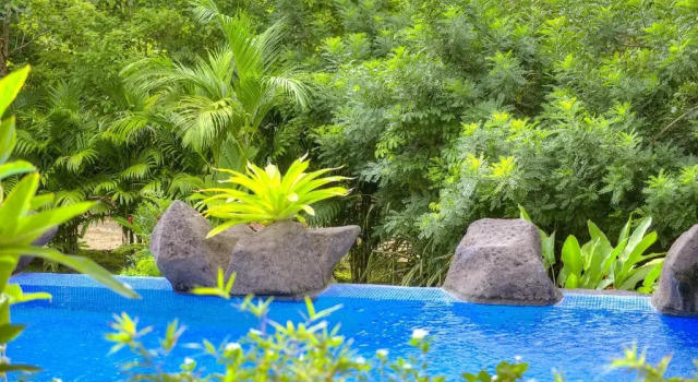 Номер Superior Pumilio Mountain & Ocean Hotel