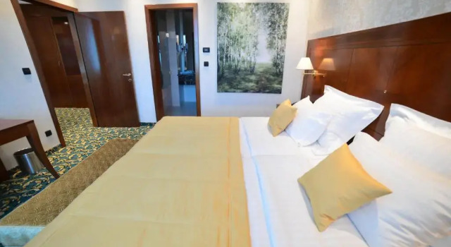 Люкс Hotel Mellain