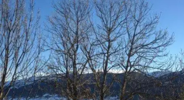 Gites Ardoise et Girolle Formiguères, Rezerwuj Hotel Hotele w Pyrénées-Orientales z parkingiem, Parking